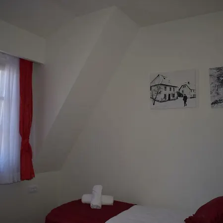 酒店 Zlatni Bor 4*