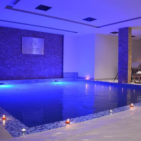 Zlatni Bor Otel 4*
